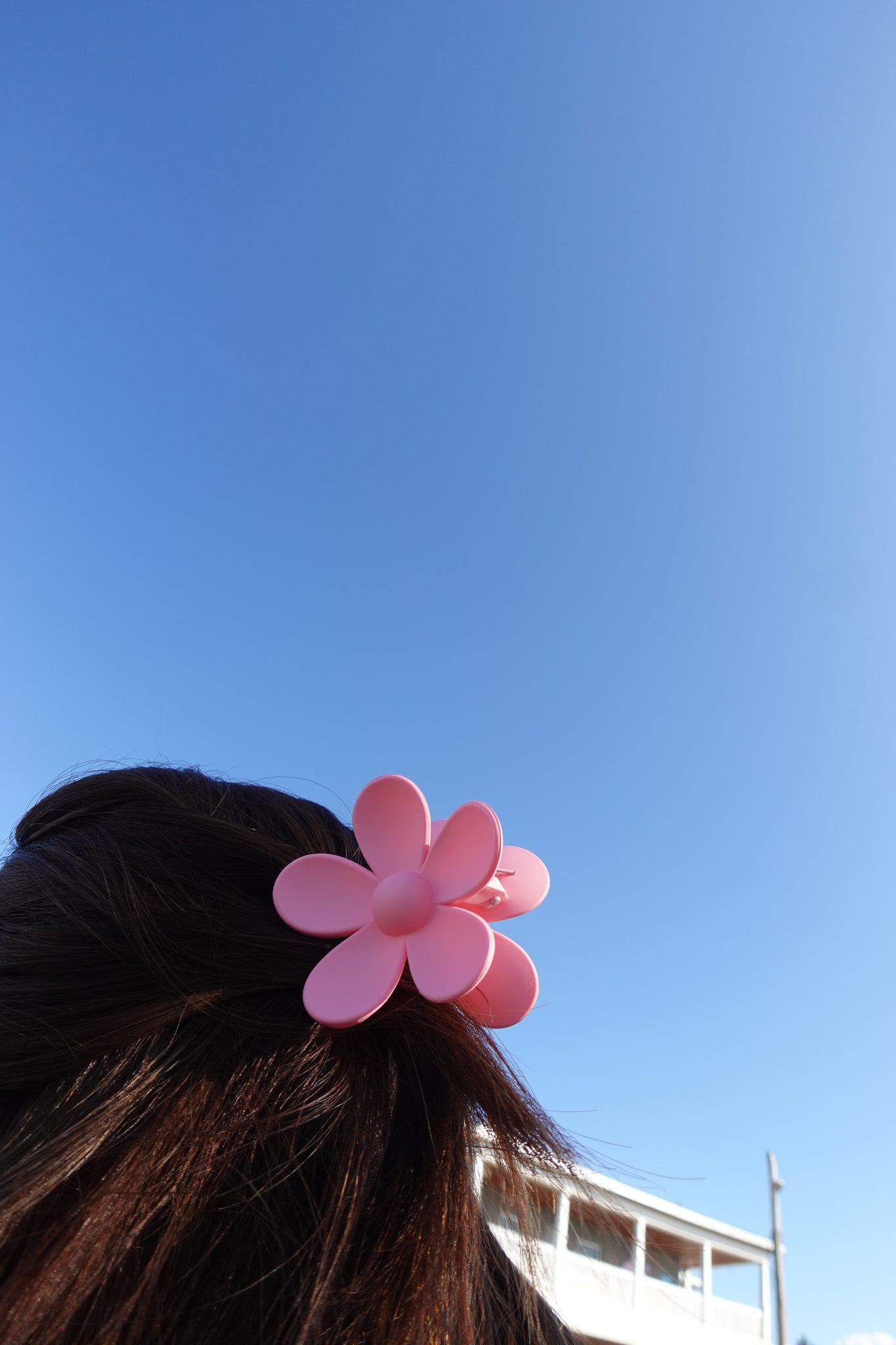 Floral Clips